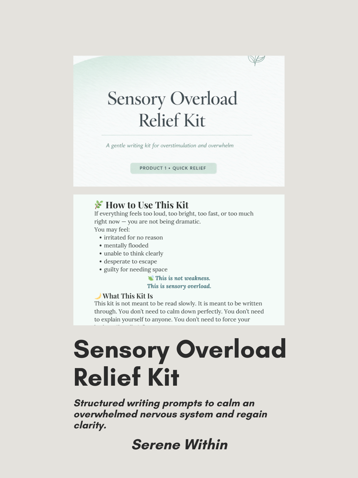 Sensory Overload Relief Kit cover